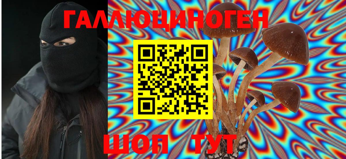 Псилоцибиновые грибы Cubensis Советск